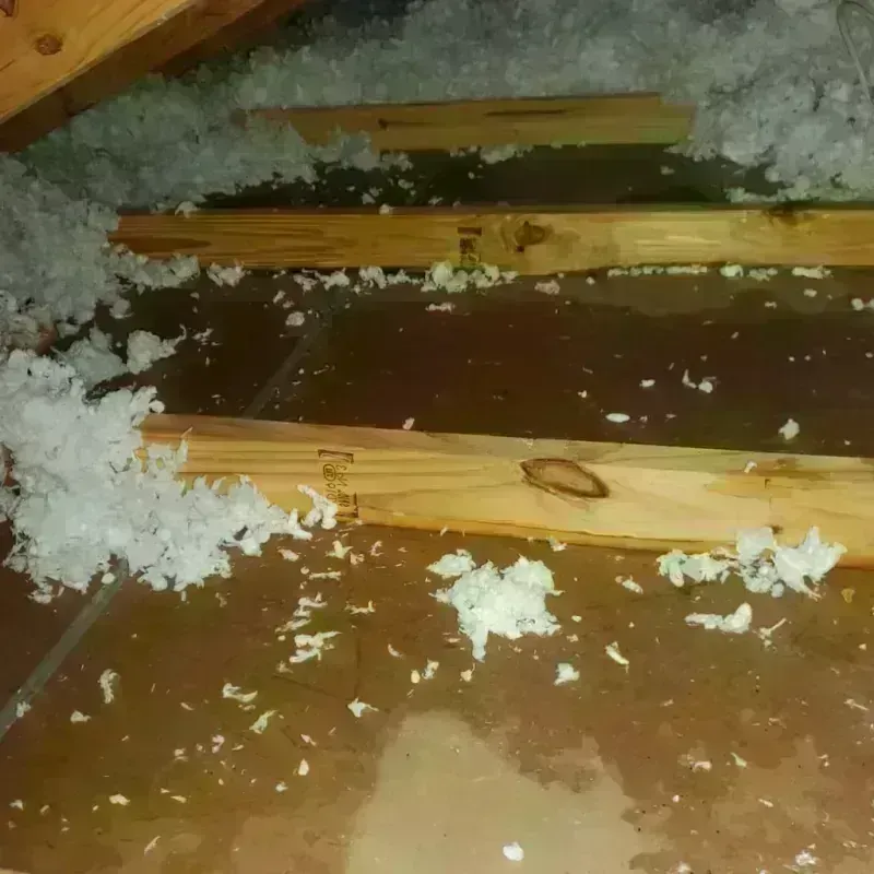 Attic Water Damage in Rio, WI