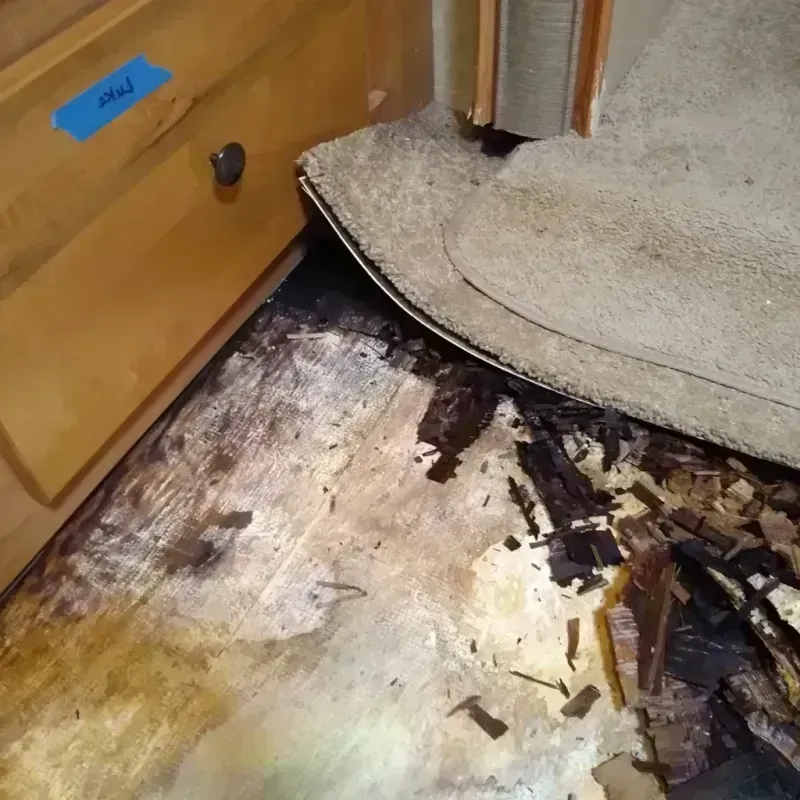 Wood Floor Water Damage in Rio, WI